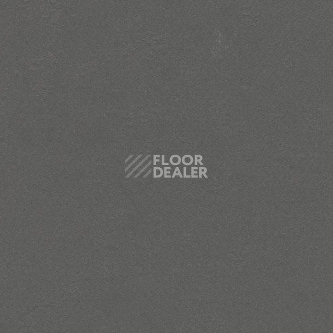 Линолеум Forbo Marmoleum Decibel on Order 336835 grey iron фото 1 | FLOORDEALER